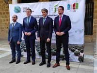 Consejo Oleícola Internacional: Los consumidores en EEUU "no están dispuestos a renunciar" al aceite de oliva