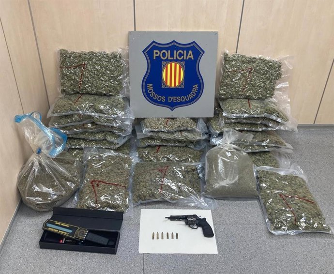 Marihuna incautada por los Mossos d'Esquadra en un domicilio de la comarca del Baix Camp (Tarragona)