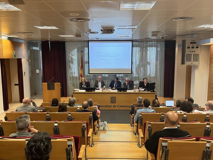 El pleno del Ctesc