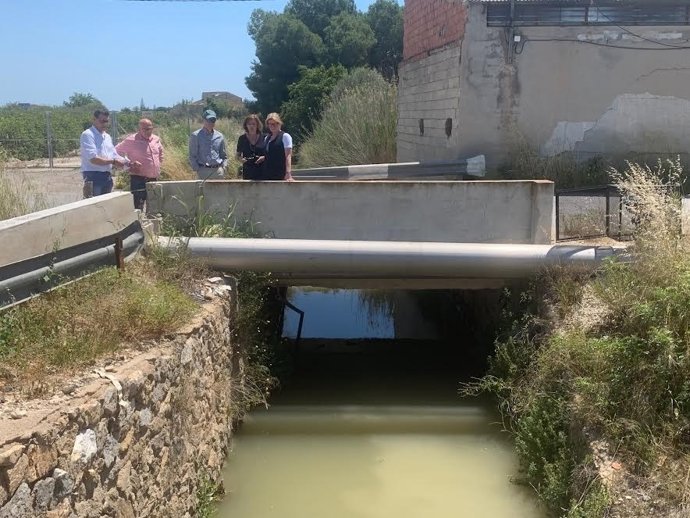 Almoradí demana a la Diputació que estudie "possibles solucions per a prevenir inundacions" al Saladar