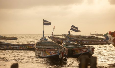 Migración