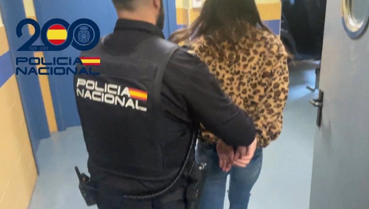 Nueve jóvenes, dos de ellos menores, detenidos por robar en Oviedo