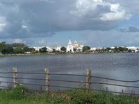 Más de 3.000 carruajes se han matriculado para circular por El Rocío durante la romería, que presenta novedades