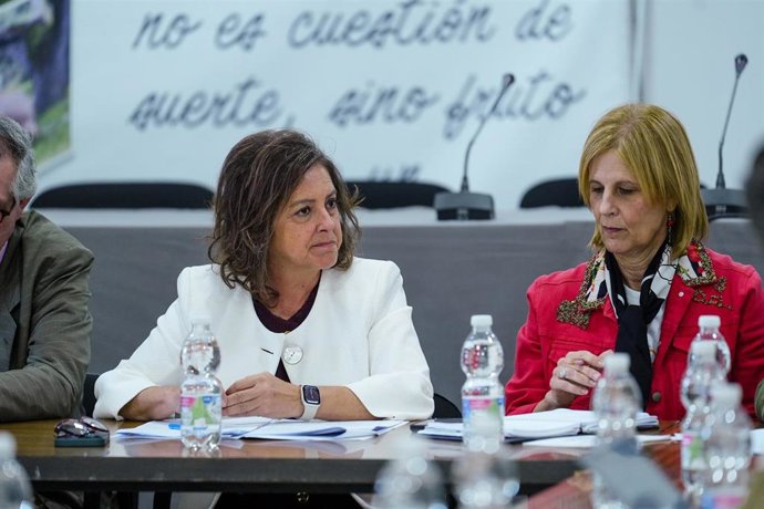 Vídeo de la noticia