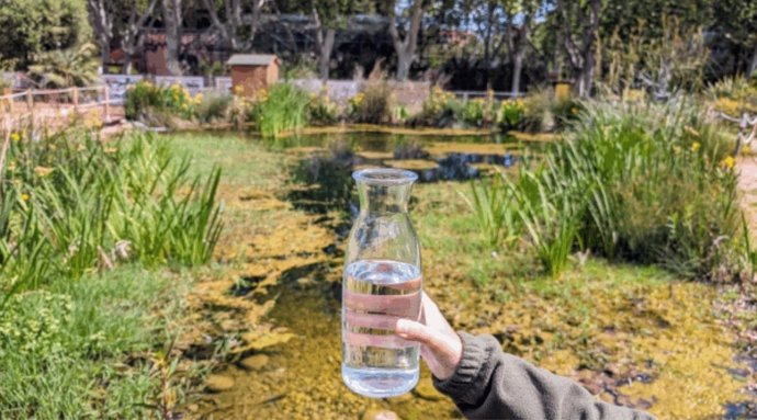 Agua tratada a través del proyecto piloto del Zoo de Barcelona para regenerar el agua de sus instalaciones