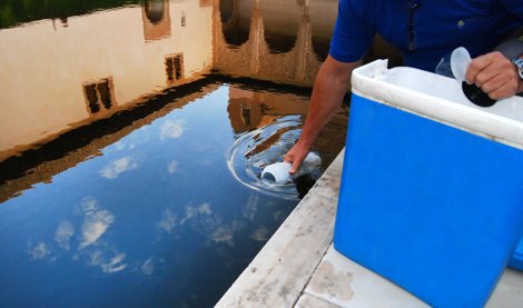 Es Andalucía - Granada