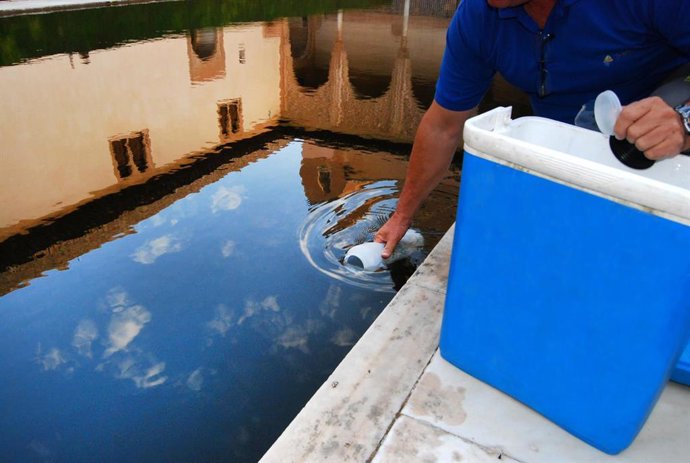 Archivo - Toma de una muestra de agua en la Alhambra, en imagen de archivo