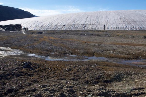 Ciencia.-El retroceso de los glaciares acelera la extinción de especies