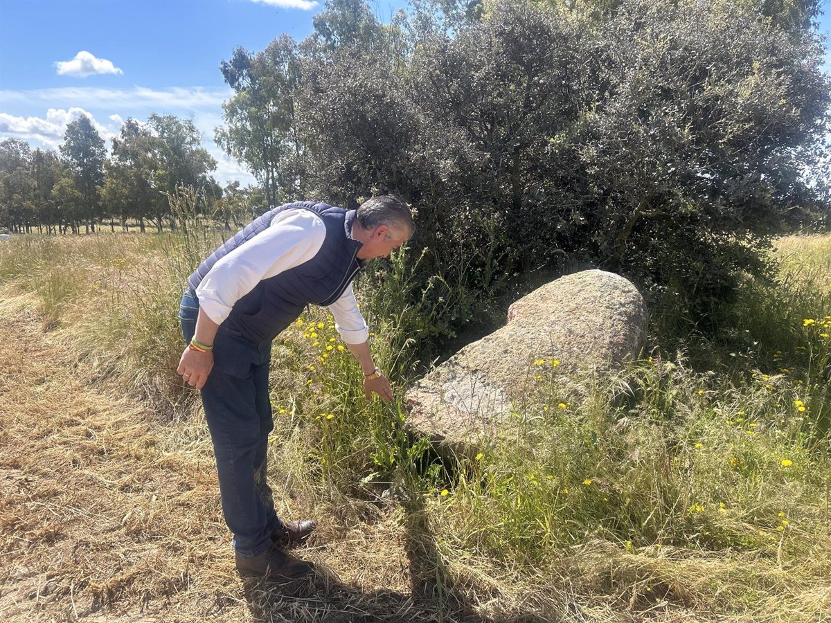 Talavera de la Reina preservará el menhir de Gamona