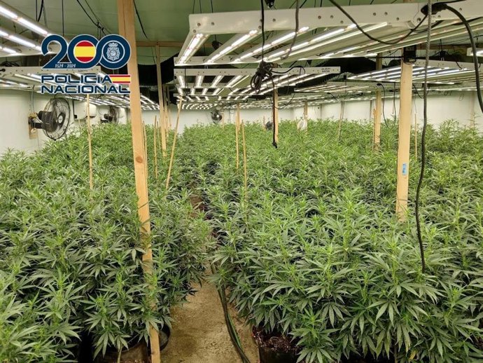 Vídeo de la noticia