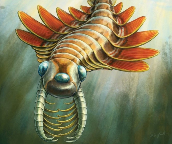 Recreación de Mosura fentoni