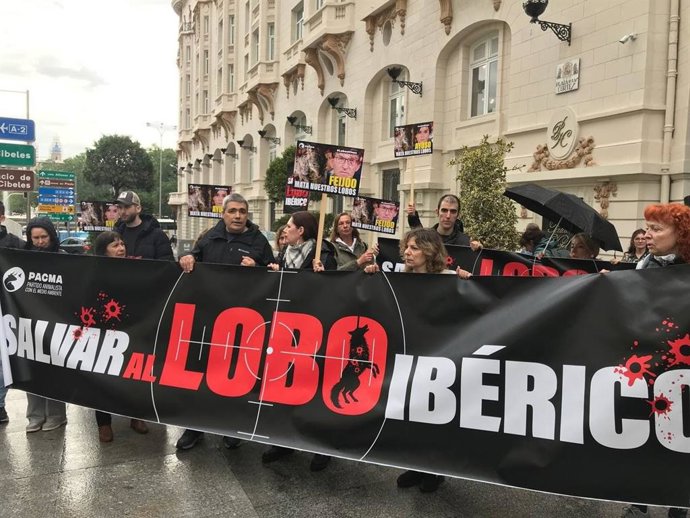 PACMA exige devolver al lobo al LESPRE con una protesta frente al Congreso: "¡Lobo vivo, lobo protegido!".