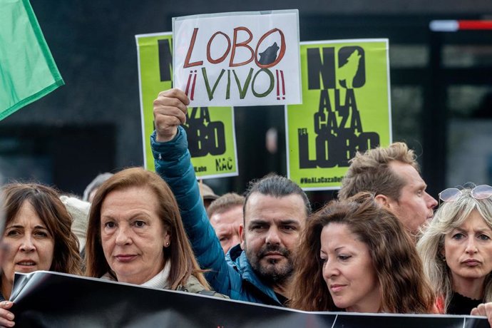 Archivo - Decenas de personas durante la concentración ‘Salvar al lobo ibérico’, en la Plaza de Callao, a 5 de abril de 2025, en Madrid (España). PACMA ha convocado la manifestación para protestar contra la apertura de la veda de caza del lobo ibérico al 