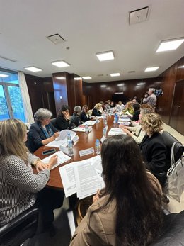 Pleno del Observatorio Extremeño contra la Discriminación por Orientación Sexual e Identidad de Género