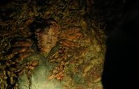 El showrunner de The Last of Us avisa que el infectado más peligroso llegará pronto a la serie