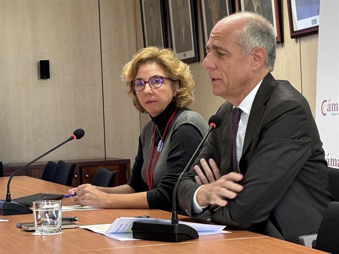 Archivo - El presidente de la Cámara, Santiago Sesé, y la directora general, Lola Pérez