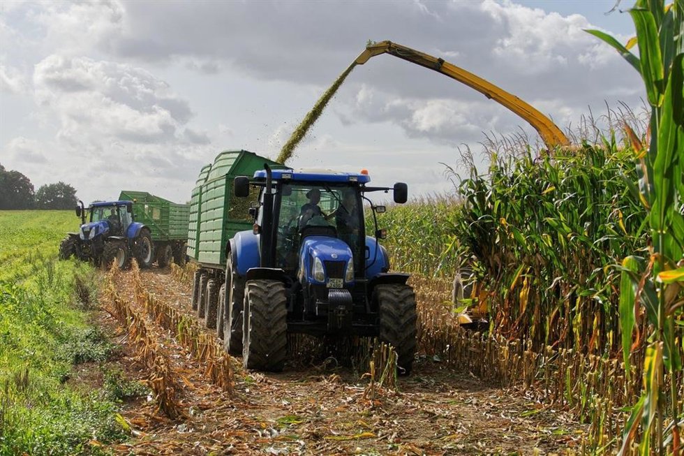 Archivo - Agricultor y tractor