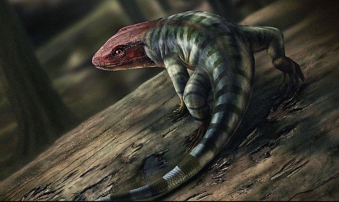 Interpretación artística del posible aspecto del reptil. La imagen muestra un lagarto con cabeza roja y cola larga.