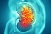 Foto: Medir la albuminuria puede evitar la diálisis y el trasplante en la enfermedad renal crónica