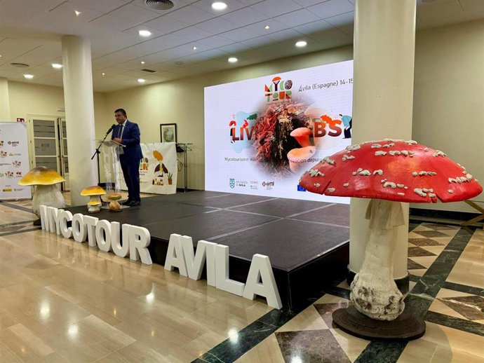 El Gobierno de España apuesta por el micoturismo para desestacionalizar el turismo y generar empleo.