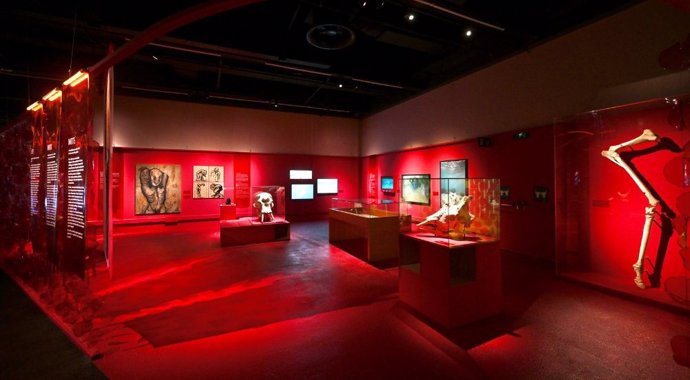 Imatge de l'exposició 'Animals Invisibles: mite, vida i desextinció'