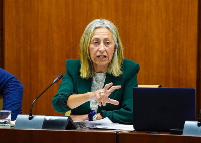 La consejera de Salud y Consumo, Rocío Hernández, en comisión parlamentaria este miércoles.