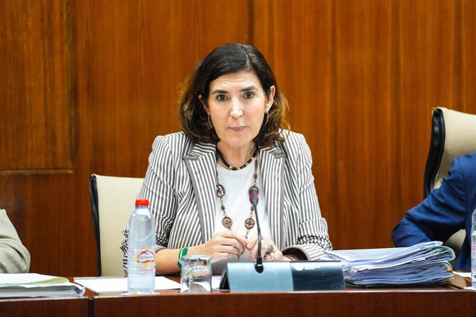 La consejera de Empleo, Empresa y Trabajo Autónomo, Rocío Blanco, en la comisión parlamentaria de este miércoles.