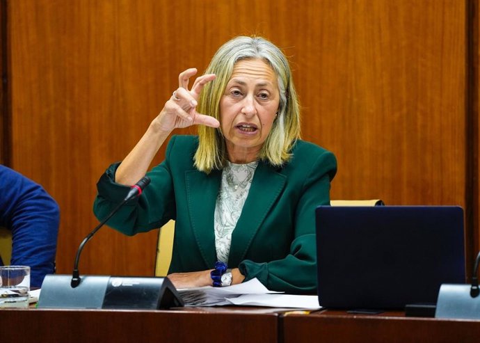 La consejera de Salud y Consumo, Rocío Hernández, en comisión parlamentaria este miércoles.