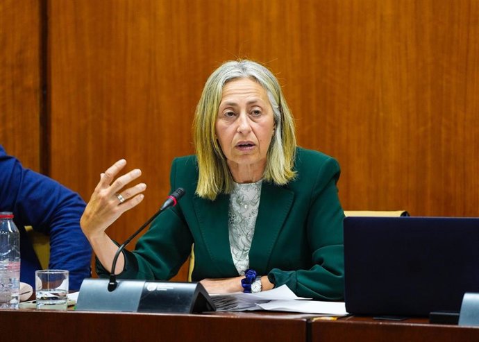 La consejera de Salud y Consumo, Rocío Hernández, en comisión parlamentaria este miércoles.