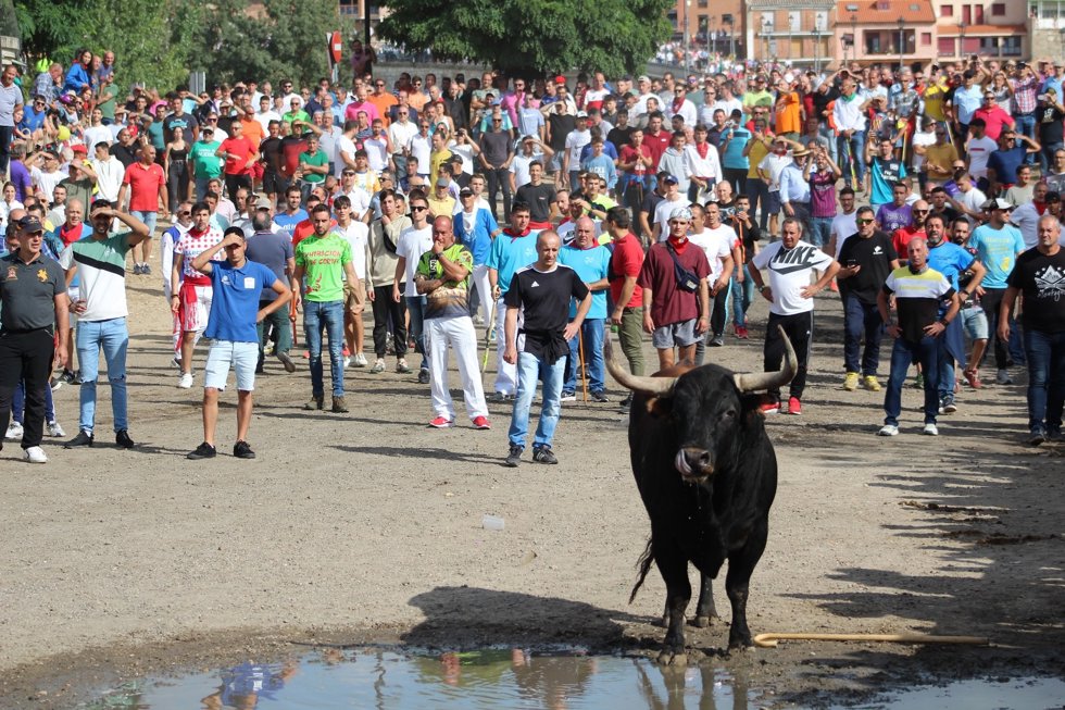 Imagen de archivo de un encierro del Toro de la Vega.