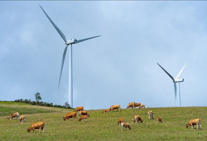 Archivo - Parque eólico de Acciona Energía