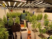 Detenidas ocho personas tras desarticular una organización dedicada al robo en viviendas en Ourense