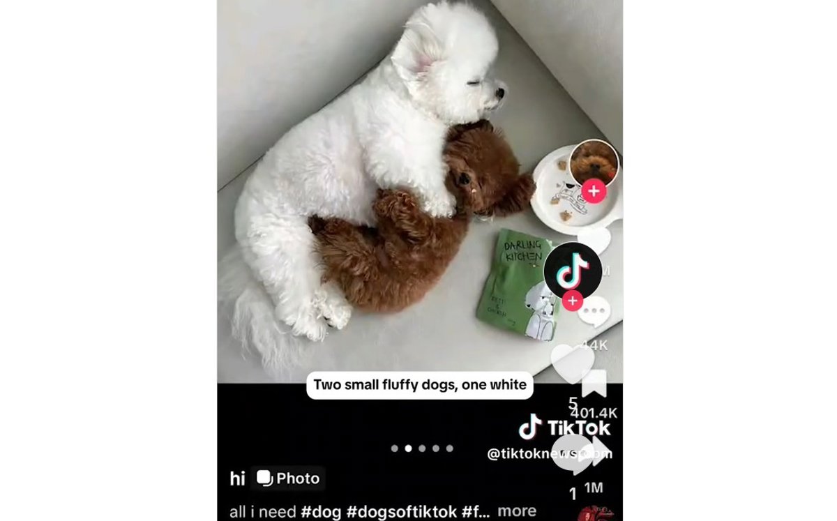 Tiktok expands accessibility options with the generation of alternative text with AI