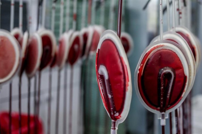 Archivo - Bolsas de sangre en el laboratorio del centro de Transfusión de Valdebernardo, a 8 de enero de 2022, en Madrid (España). 