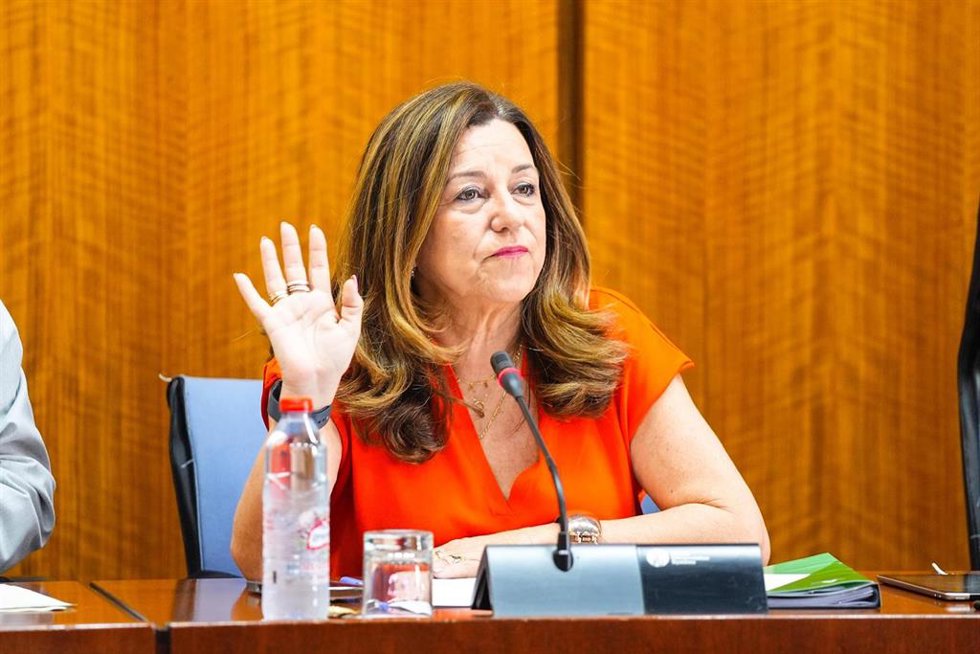 La consejera de Desarrollo Educativo y Formación Profesional, María del Carmen Castillo, en comisión parlamentaria a fecha de 15 de mayo de 2025.