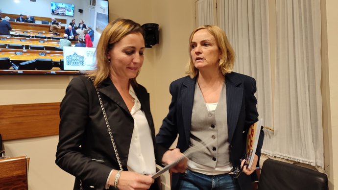 Las diputadas del Grupo Mixto Covadonga Tomé y de IU-Convocatoria por Asturias, Delia Campomanes.