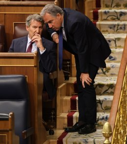O Presidente do PP, Alberto Núñez Feijóo (à esquerda) e o Secretário Geral Adjunto de Política Autônoma e Municipal e Análise Eleitoral do PP, Elías Bendodo (à direita), durante uma sessão de controle do Governo no Congresso dos Deputados, em 14 de maio d