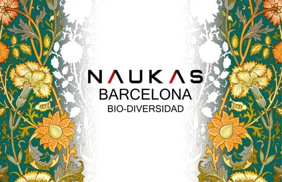 Cartel de la I edición de Naukas en el CosmoCaixa de Barcelona