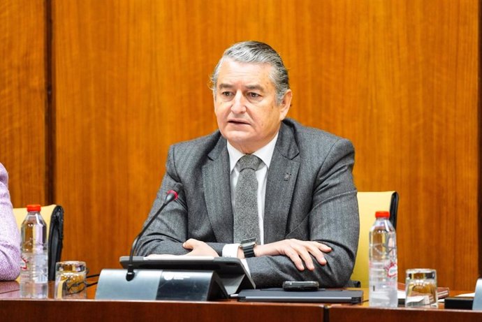 Archivo - El consejero de Presidencia, Interior, Diálogo Social y Simplificación Administrativa, Antonio Sanz, este jueves en el Parlamento