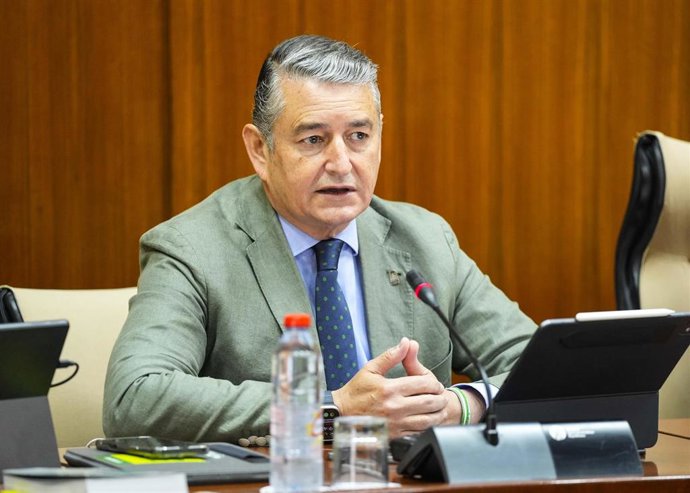 El consejero de la Presidencia, Interior, Diálogo Social y Simplificación Administrativa, Antonio Sanz, comparece en comisión parlamentaria.