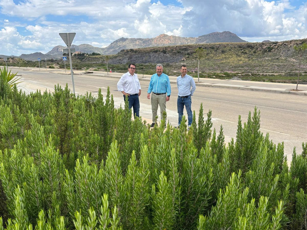 La Diputación de Almería avanza en el Plan Savia para frenar el cambio climático y mejorar los espacios públicos