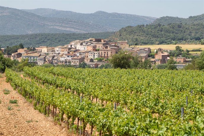 Barcelona cuenta con hasta 262 municipios de menos de 20.000 habitantes