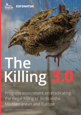 La caza, captura y comercio ilegal de aves en España se reduce en un 50-74% desde 2020, según SEO/BirdLife.