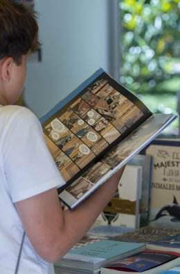 Archivo - Arxiu - Un xiquet amb un llibre (arxiu)