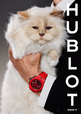 Hublot Big Bang 20th Anniversary campaign with Choupette
