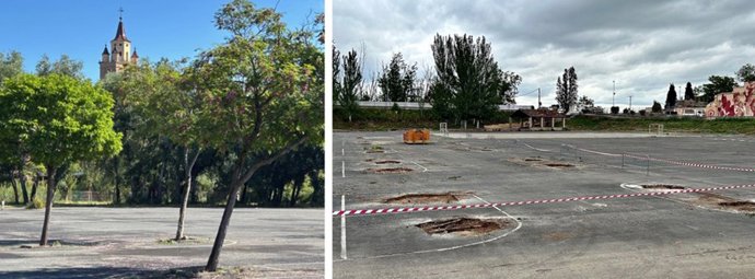 Ecologistas en Acción acusa al Ayuntamiento de Calahorra de "arrasar decenas de árboles" para el 'Holika'