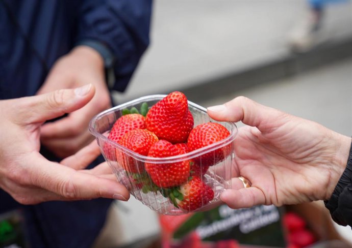 Archivo - Fresas de Huelva.