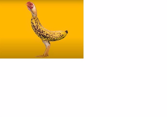 Chicken Banana, el nuevo fenómeno en TikTok