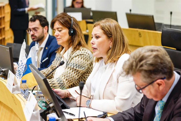 La presidenta del Parlamento de Canarias y de la Conferencia de Asambleas Legislativas Regionales de la UE, Astrid Pérez, ha presidido este jueves el primer pleno de la Asamblea y el Comité permanente de la Calre en Bruselas.