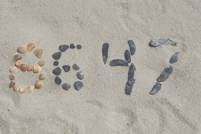 Fotografía de conchas en una playa trazando el número 8647 y publicadas en Instagram por el exdirector del FBI James Comey